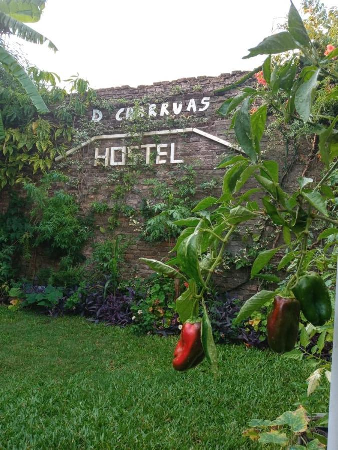 Dch Hostel Backpaquers Concordia Dış mekan fotoğraf